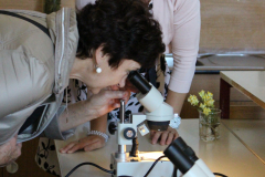 oslavy - biologie