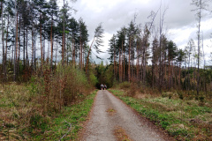IMG_20240405_132800