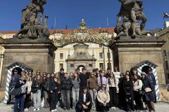 b5cf8f09-f48a-4ac8-8e74-917c4abab601