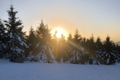 IMG_20260122_155653