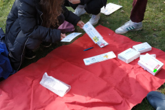 IMG_20240325_150450