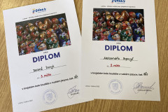 DIPLOMY-RJ-2025