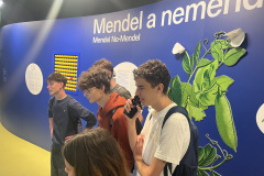 Mendelovo-muzeum1