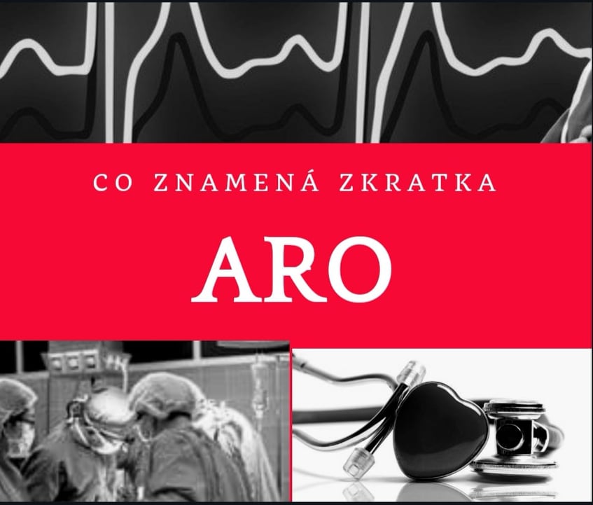 Logo ARO