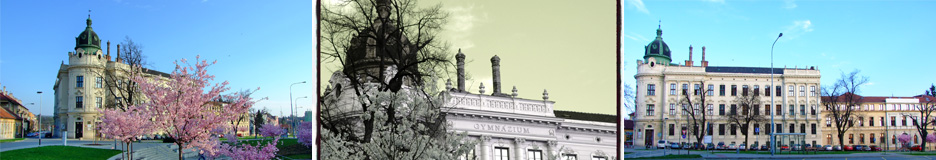 Banner jarní